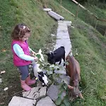 Moosberg Διαμέρισμα