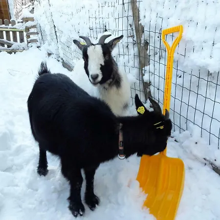 Apartmán Moosberg *