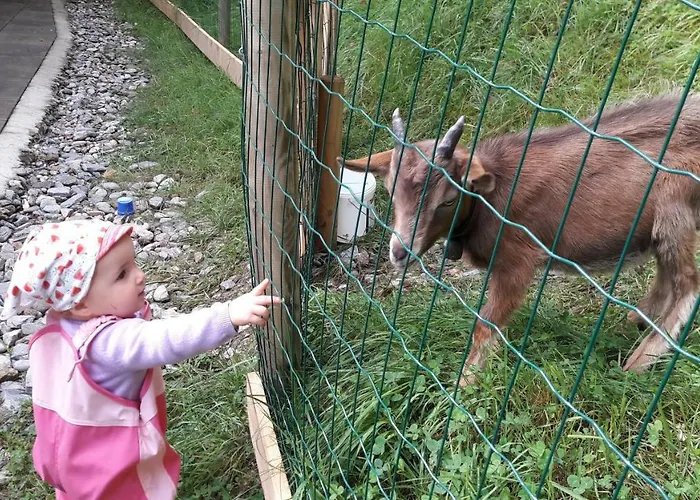 Moosberg Daire Bischofshofen